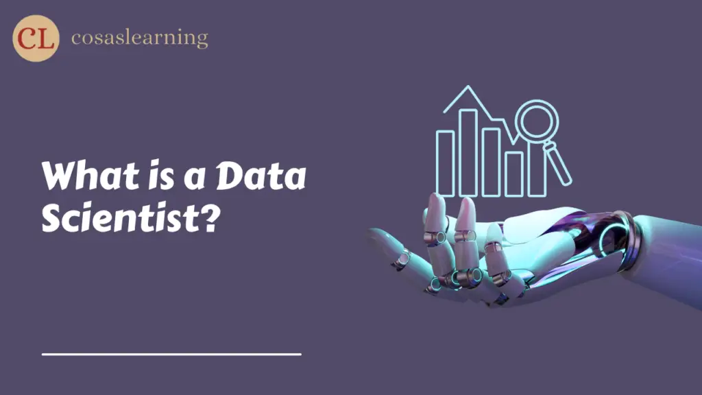 What is a Data Scientist? - Cosas Learning